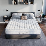 Vesgantti Pro Hybrid Mattress- Boxtop Mattress-Medium Firm(22/26cm)