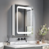 Dripex LED Bathroom Mirror Cabinet, with Lights Shaver Socket and Demister Pad, Non-contact Sensor Switch