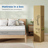 Vesgantti Nova Fashion Hybrid Mattress- Euro(Box) Top Mattress Series-Medium Firm(24cm）