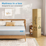 Vesgantti  Ag+ Infused Hybird Mattress-Removable Cover-Medium Firm(24/27cm）