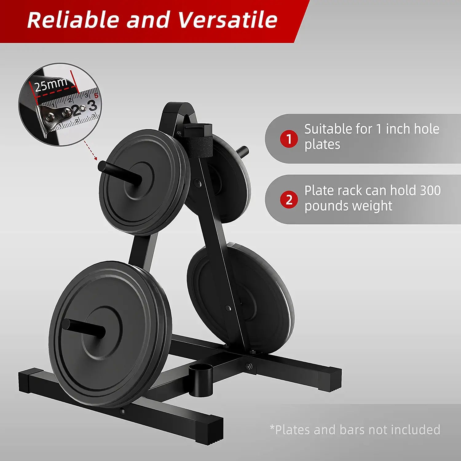 Weight Plate Rack for 1 inch Weight Plates Standard Plate Tree with B CounponYoleo