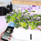 NAIMP WiFi 12Pods Hydroponics Growing System Indoor Garden Kit, 75 cm Adjustable Height, with LED Grow Light, Free Timing Setting with 6.5L Water Tanks for Indoor Outdoor