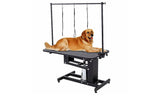 Large Hydraulic Pet Grooming Bath Table