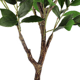 YOLEO Artificial Bay Laurel Fake Tree with Lifelike Leaves Faux Plant for Living Room Bedroom Balcony Corner Office Decor